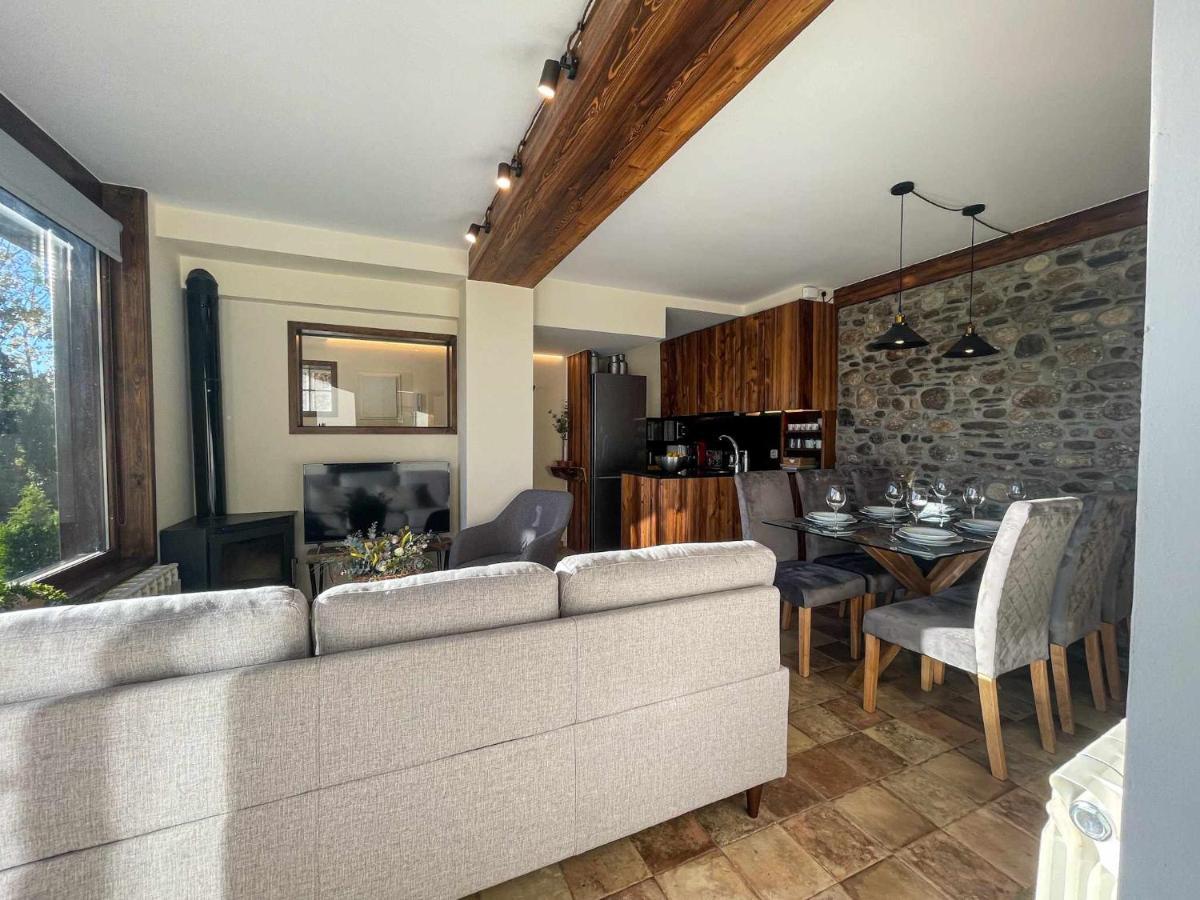Appartement Puigcerda Cal Gatesques 4 Extérieur photo